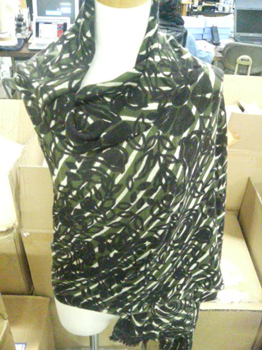 20100122105700.jpg