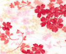 shidaresakurared.jpg